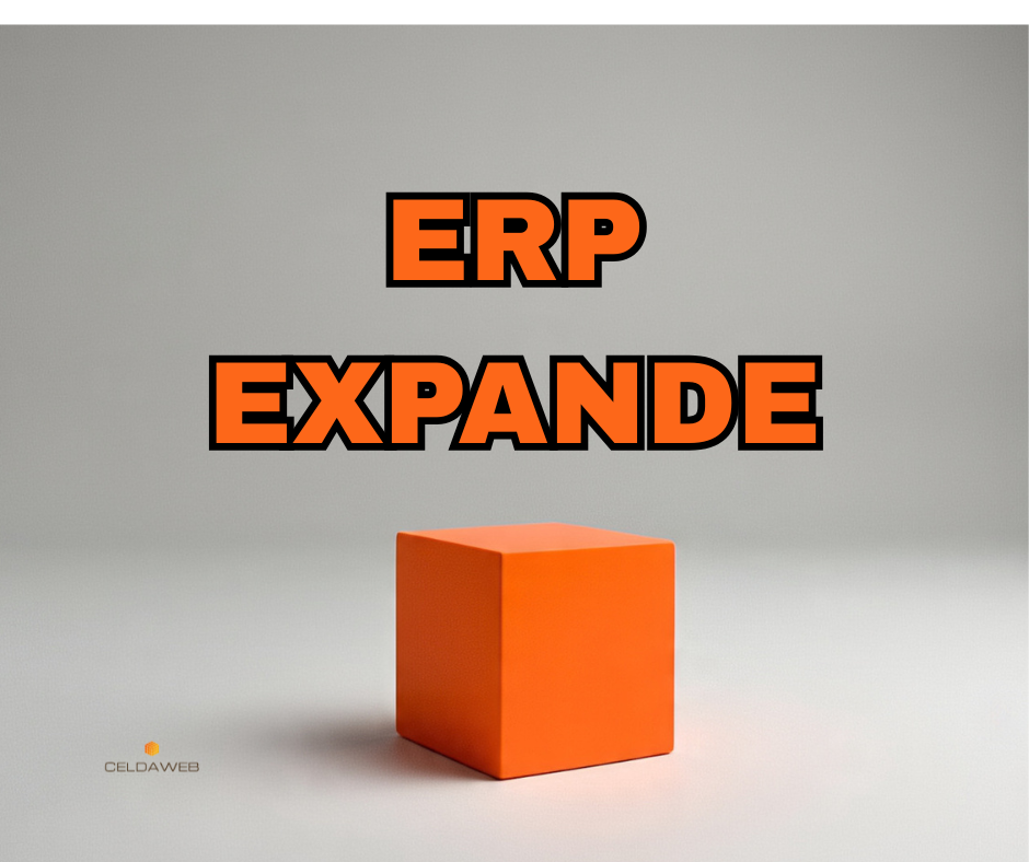 ERP Analítico